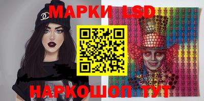 индика Ярославль