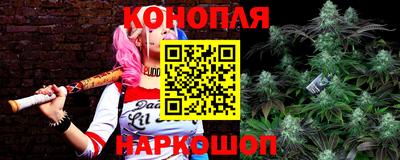 индика Ярославль