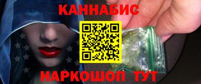 индика Ярославль