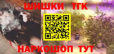 индика Ярославль